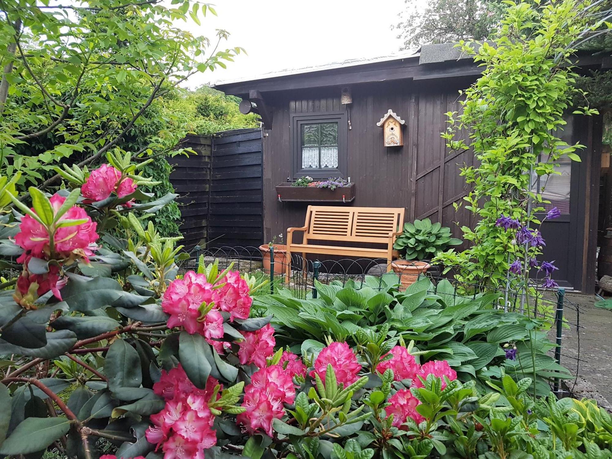 Pension Sonnenheim Winterberg Exterior photo